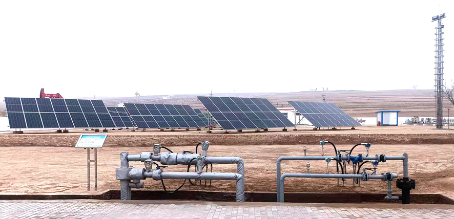 1711507713106288.jpg 2.jpg