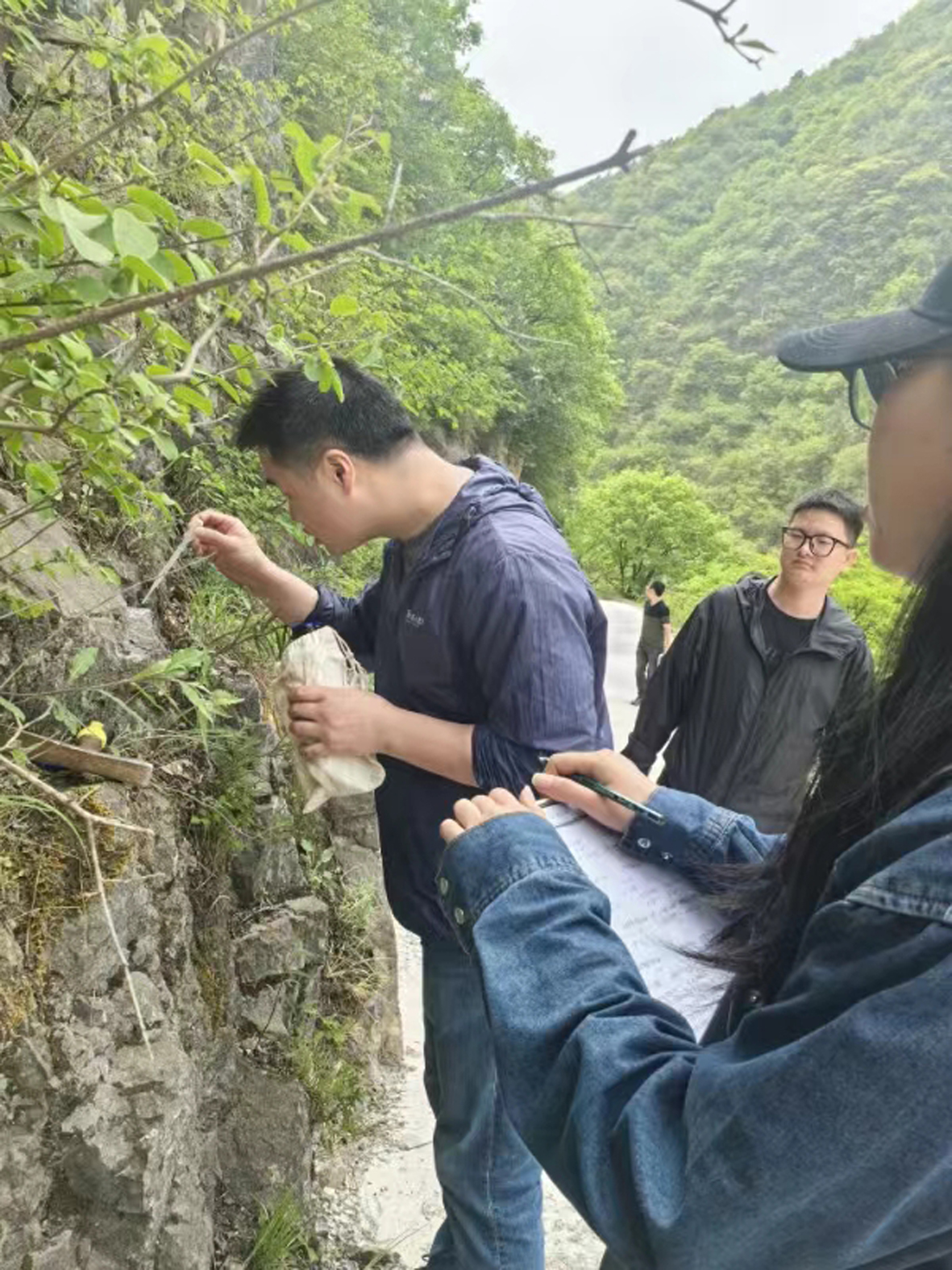 1715589358124817.jpg 4.jpg