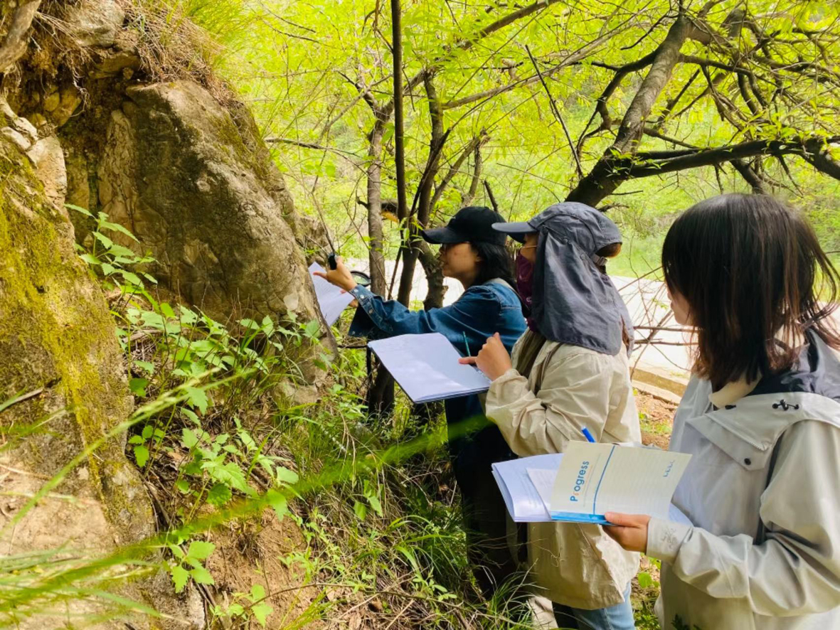 1715589399576625.jpg 2.jpg