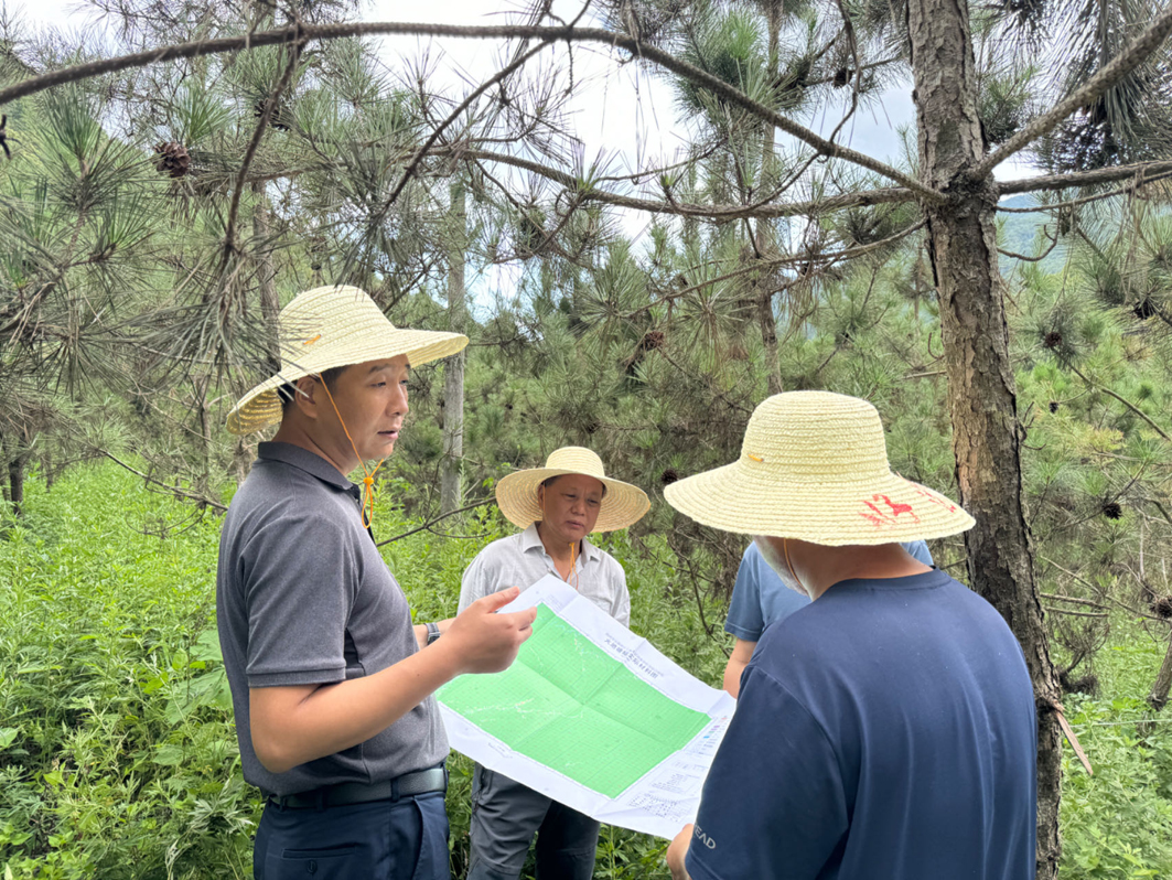 1724053264123828.jpg 2.jpg